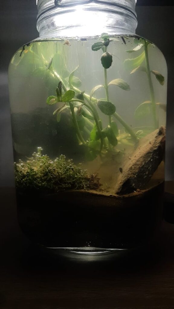 Ecosphere 2 update Ecosphere 2 update