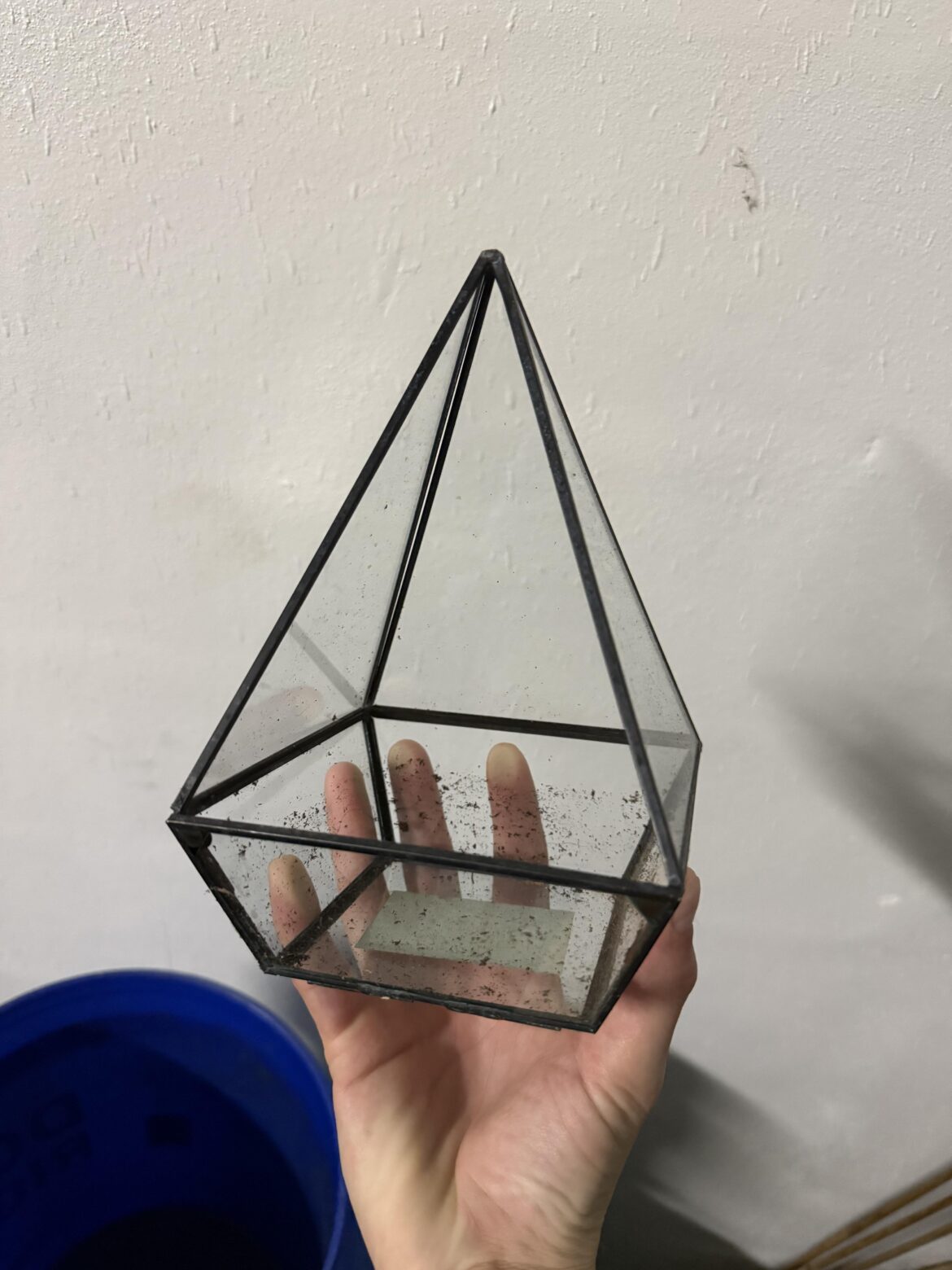 Advice for making a little syngonium terrarium with this? Advice for making a little syngonium terrarium with this?