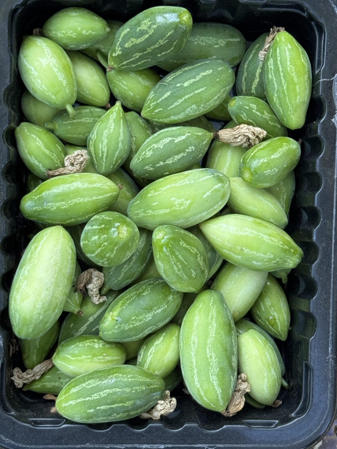 Yesterday’s collection