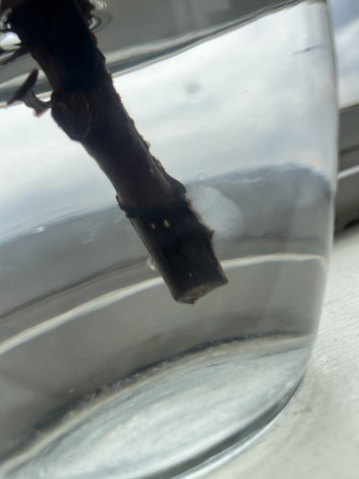 Propagation question