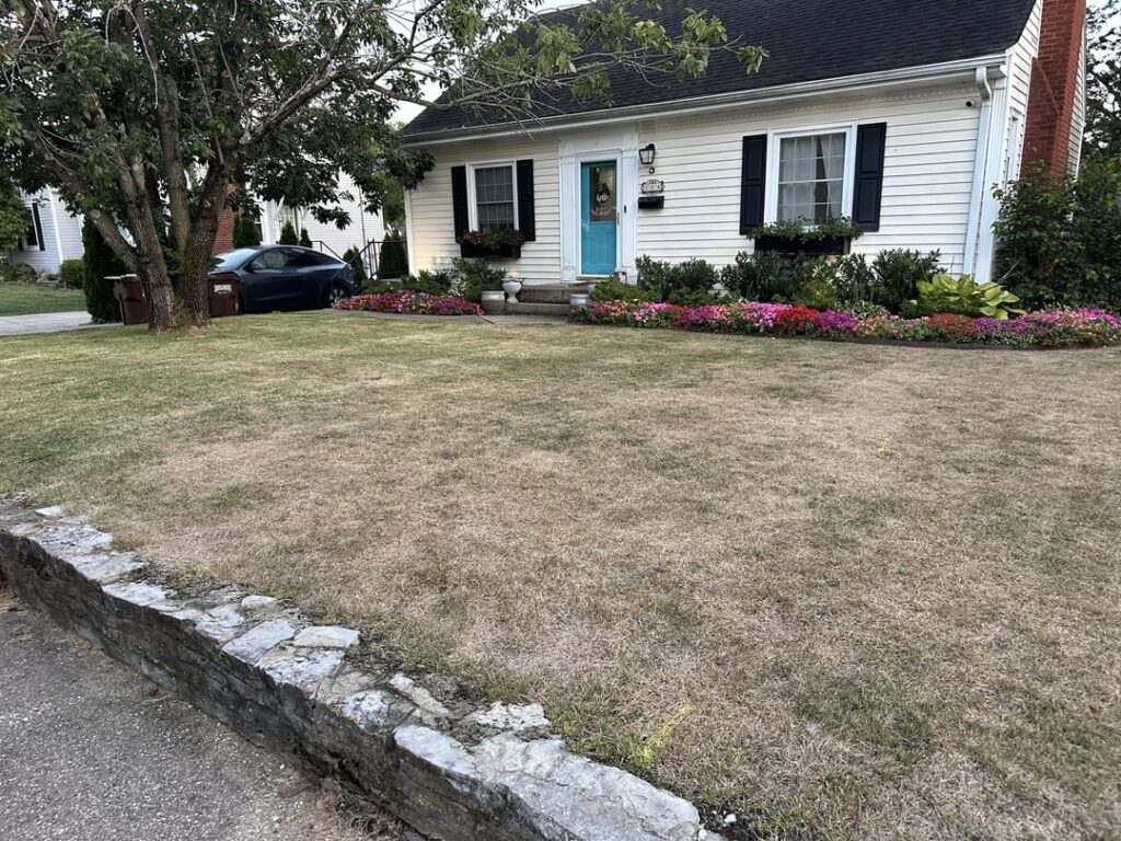 To powerseed or not powerseed KBG (Central Kentucky) To powerseed or not powerseed KBG (Central Kentucky)