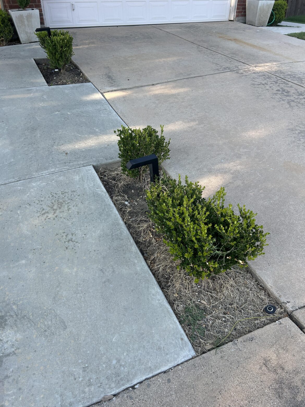 Advice on what to plant next to driveway (Texas) Advice on what to plant next to driveway (Texas)