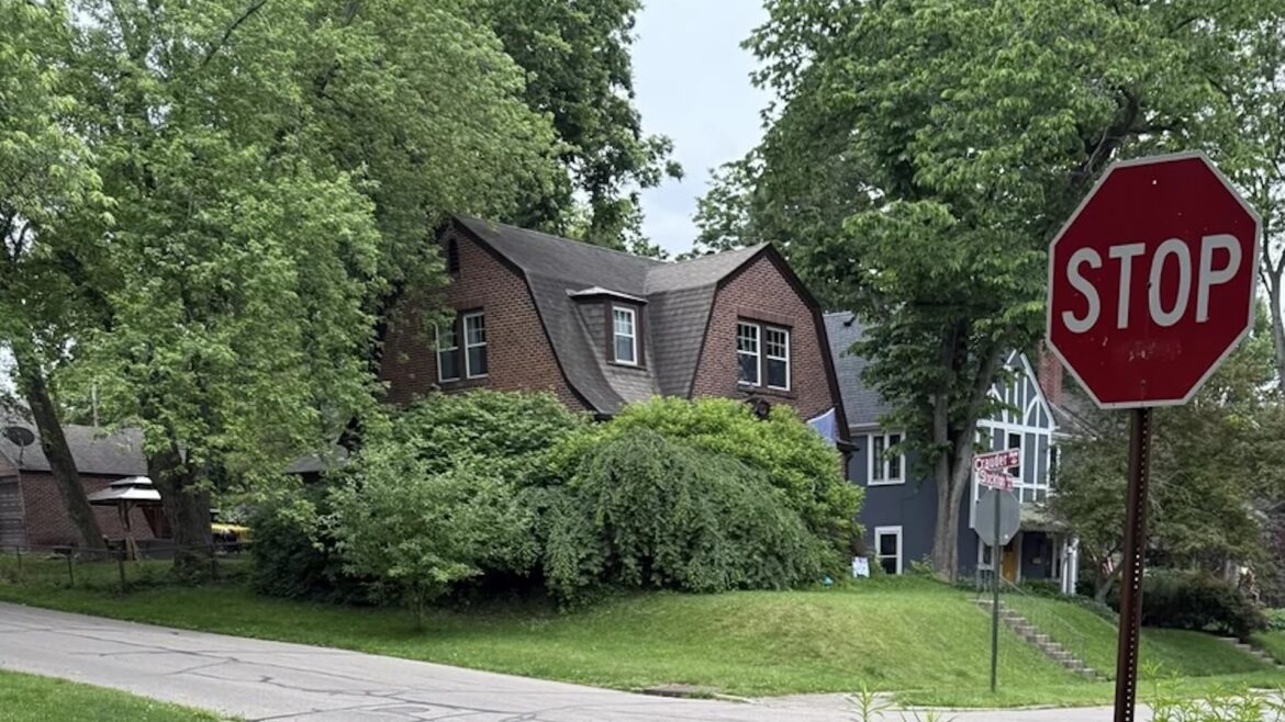 ‘I get lots of compliments’ "What a great idea!"