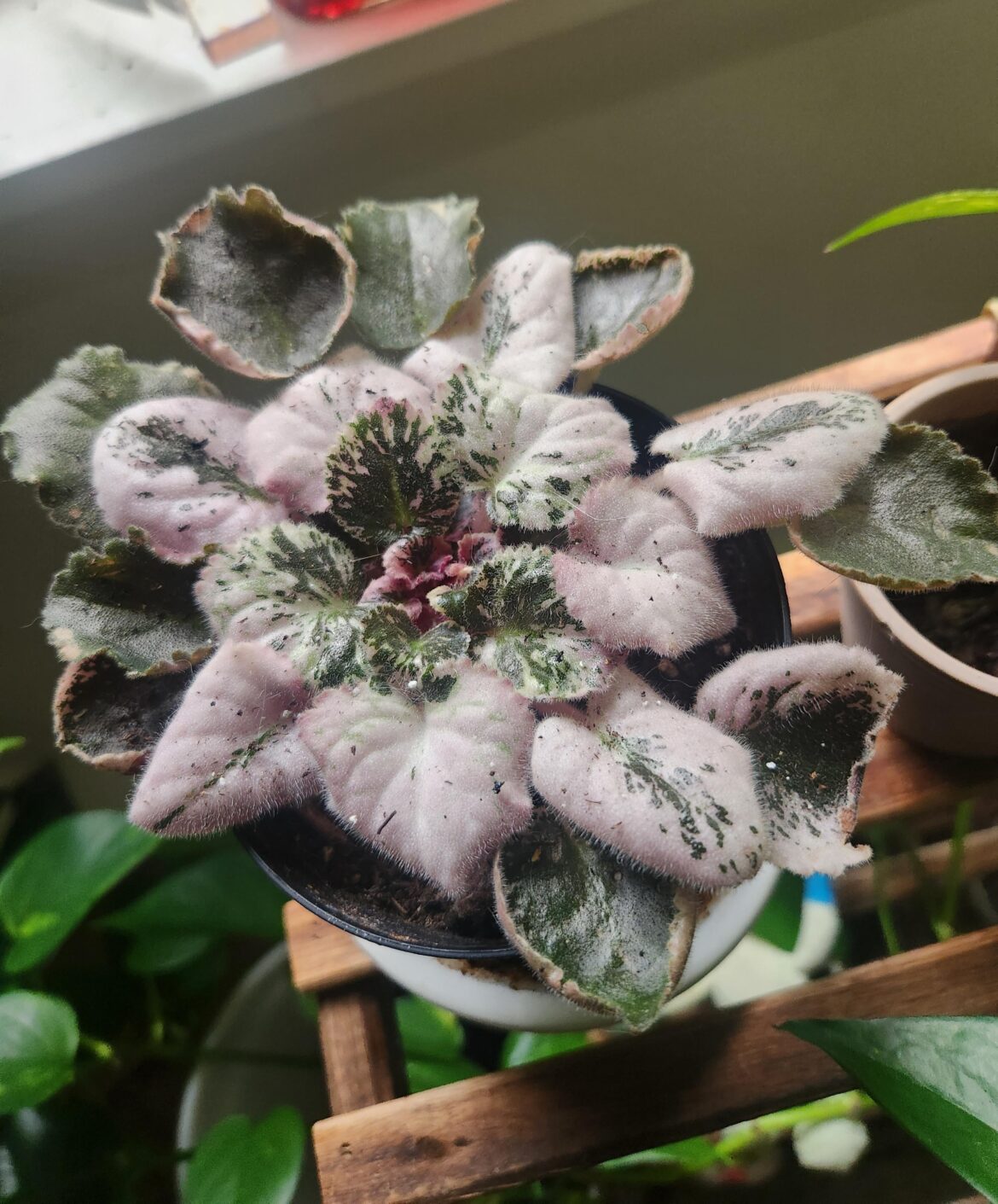 Is the color change normal?