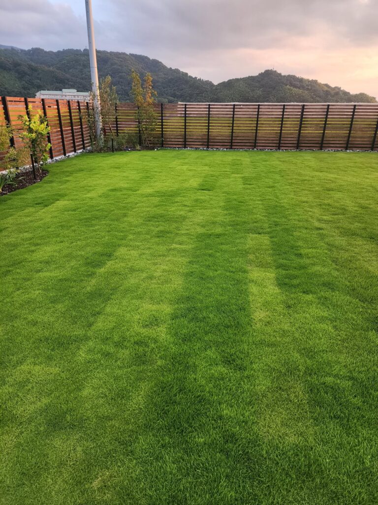 Please help with new lawn in Southern Japan Please help with new lawn in Southern Japan