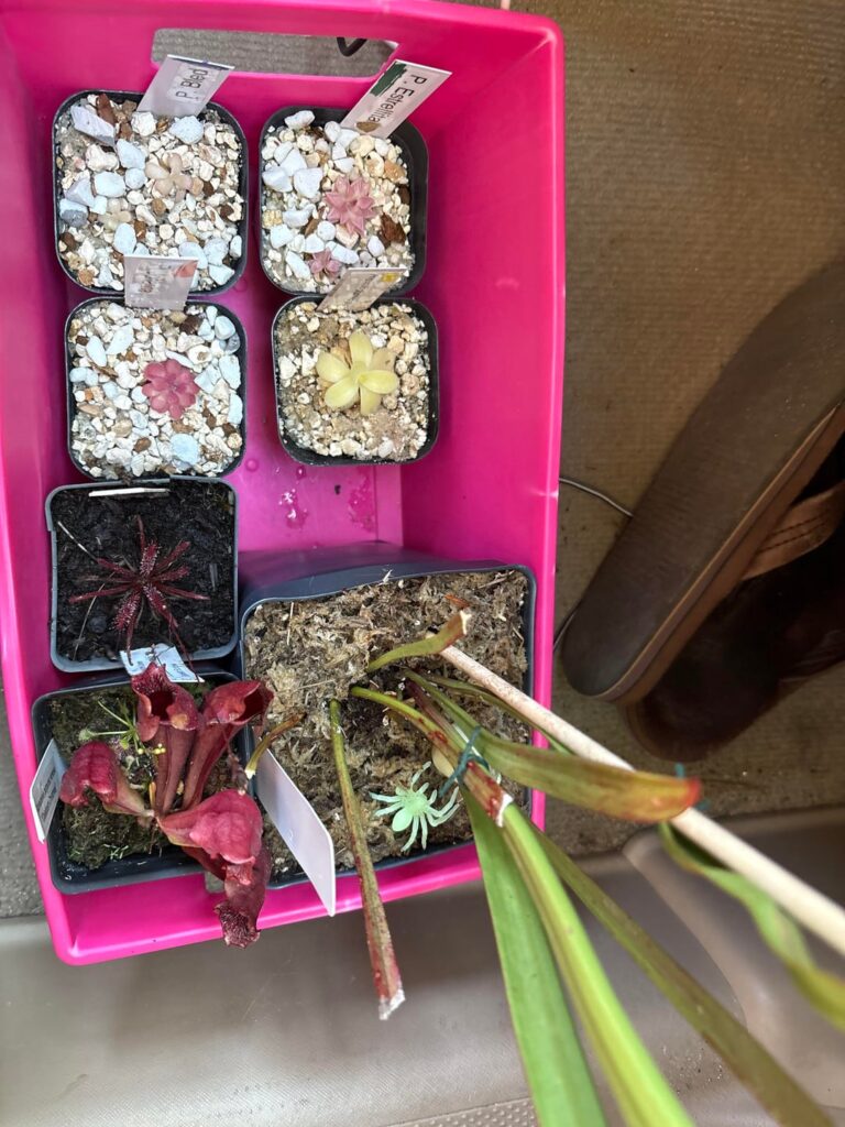 any tips?