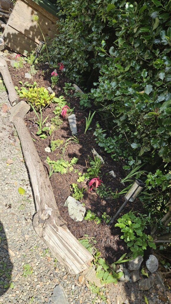 Update – thank you Update - thank you