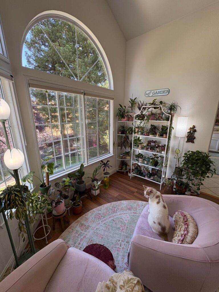 A dream come true! Lots of windows with good light.