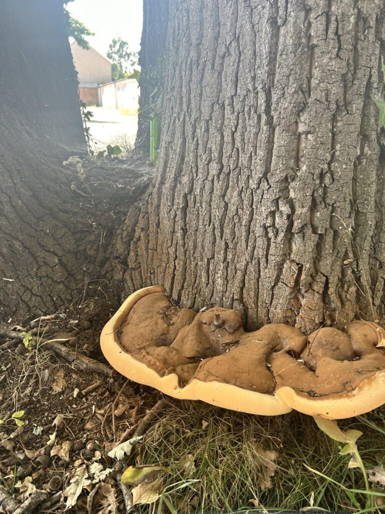 How concerned should I be?