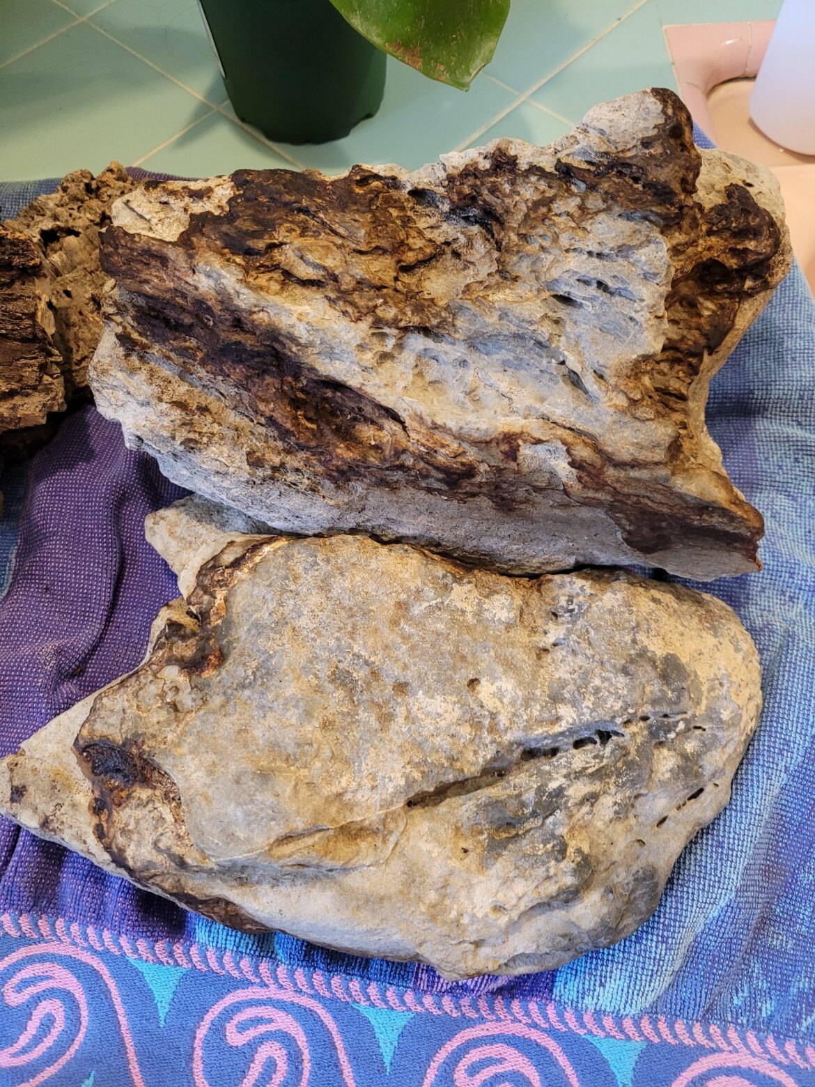 Vivarium rocks stained by soil? Vivarium rocks stained by soil?
