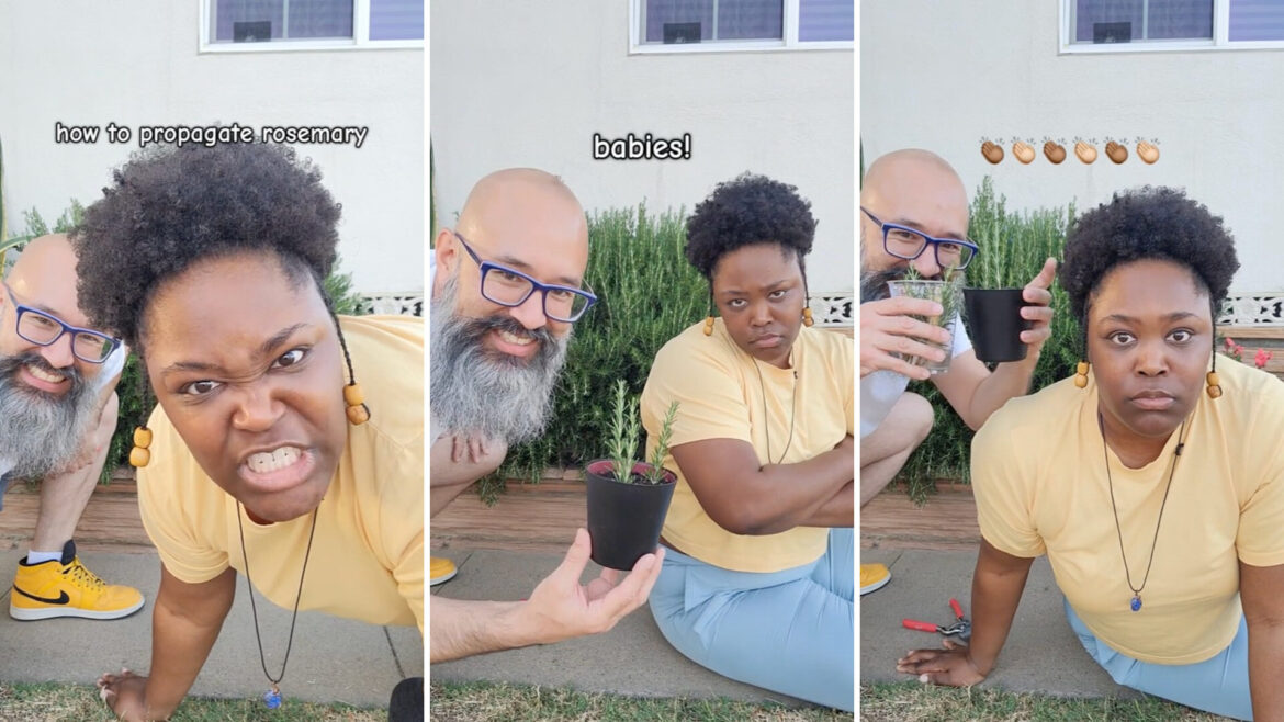 Gardeners share how to easily grow seemingly endless supply of staple herb: ‘This is amazing’ "I've been wanting to do this."