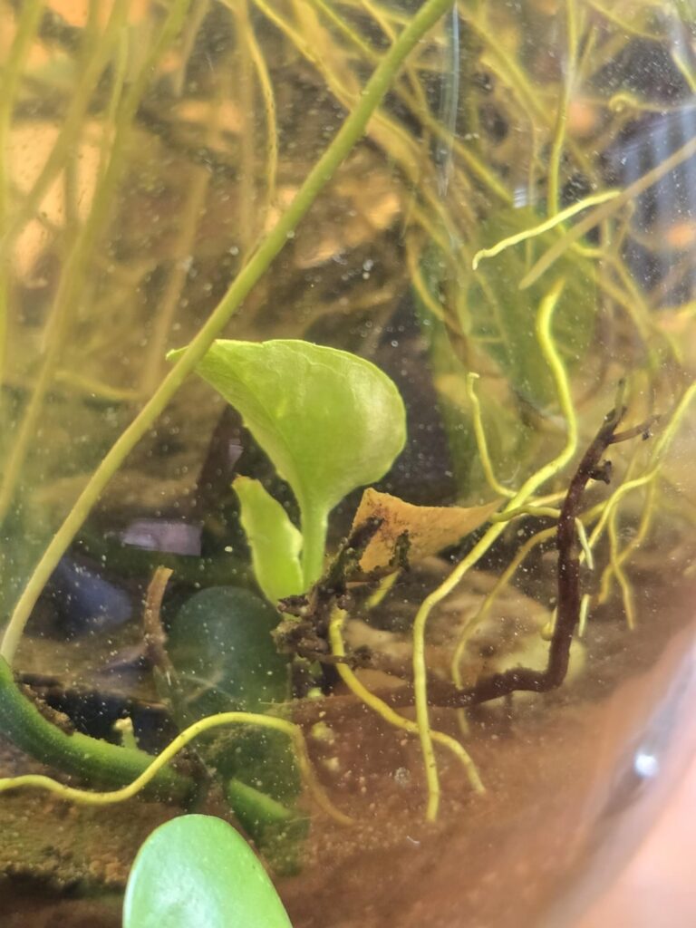 So, I’m curious about this. So, I'm curious about this.