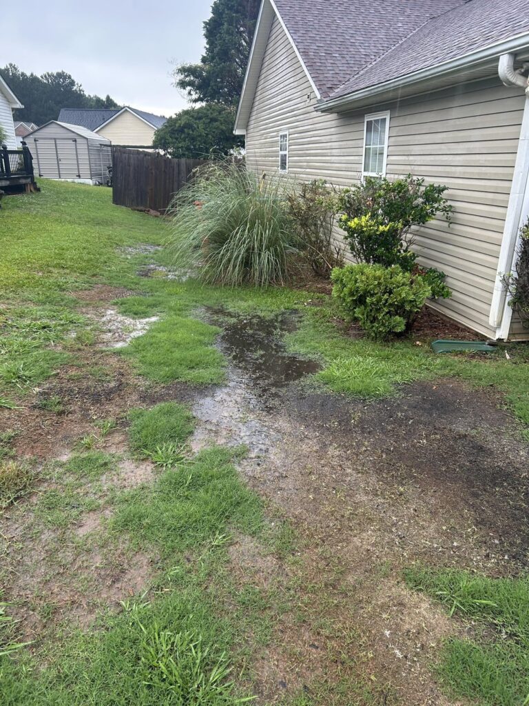 3 months has passed 🌱🌱🌱