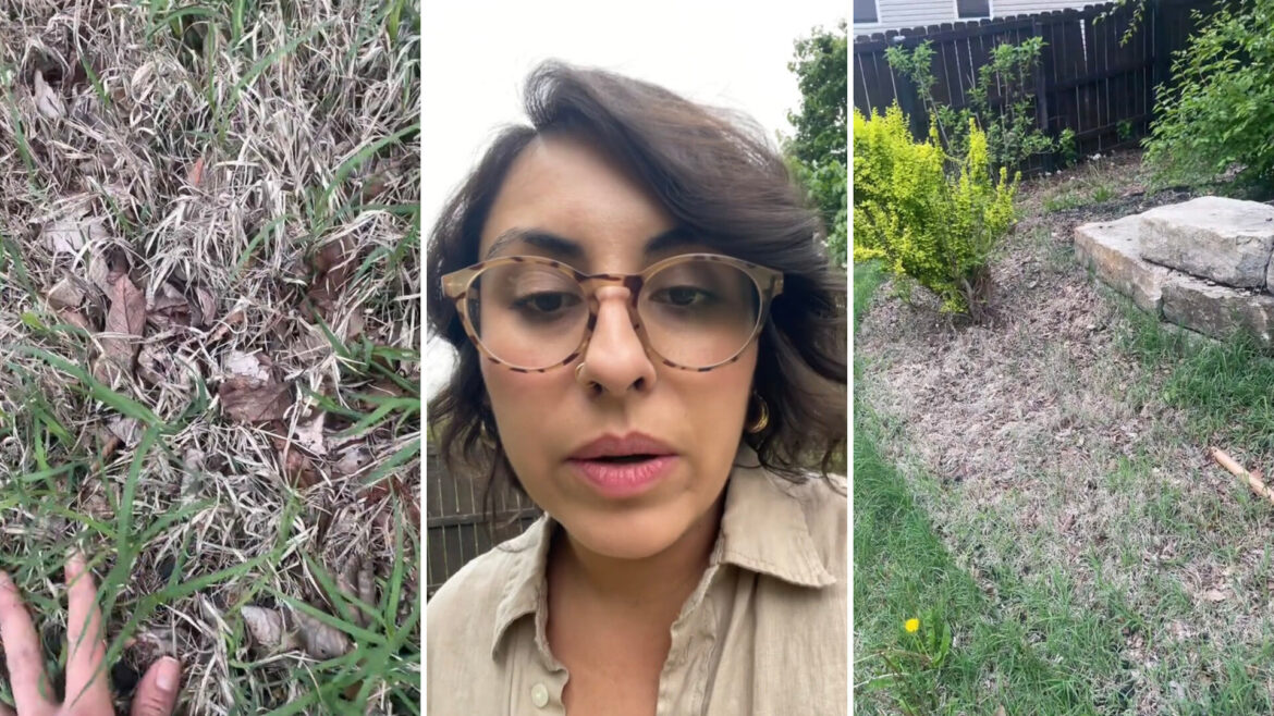 ‘I don’t know what to do about this’ "I think completely digging out is your best solution."