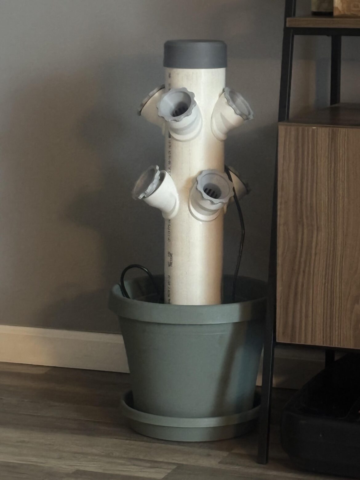 Best things to grow in this?