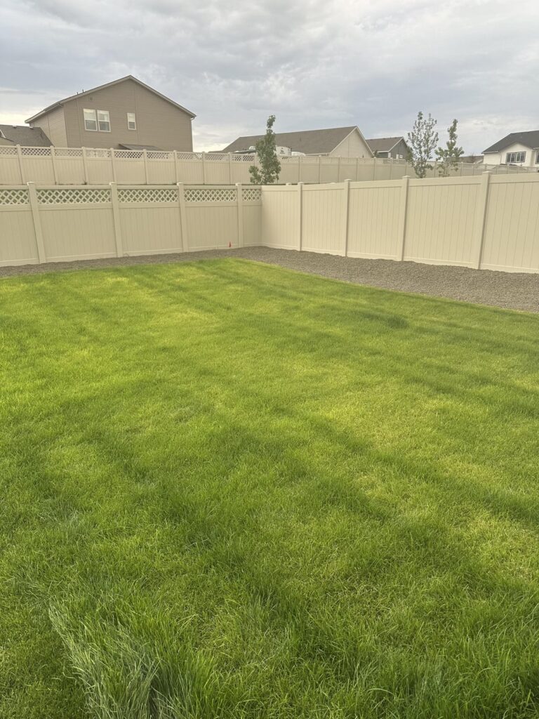 New lawn… Why is it doing this? New lawn… Why is it doing this?