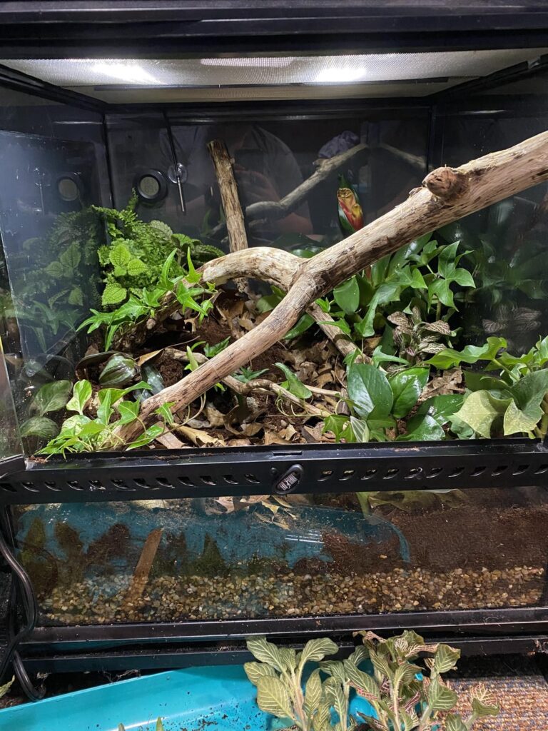 Update: the tank is now planted! Update: the tank is now planted!