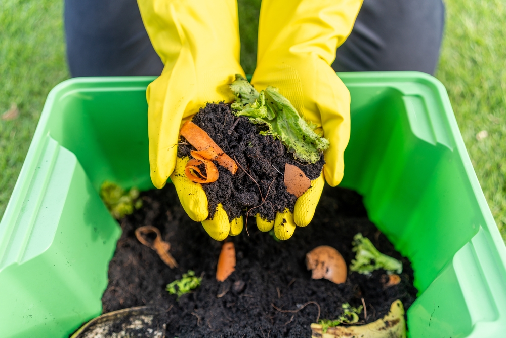 Hands holding composted soil and vegetation in a compost bin.
