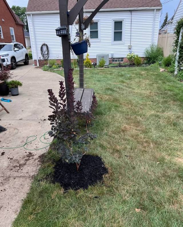 Several people gave tips to the gardener.
