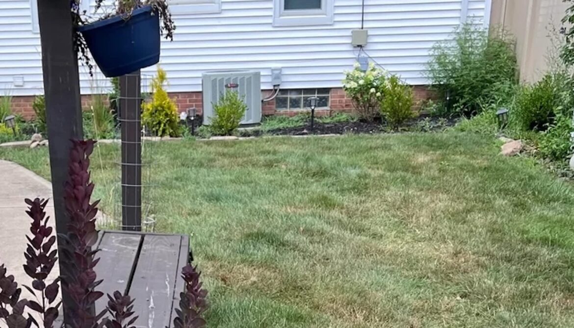 Several people gave tips to the gardener.