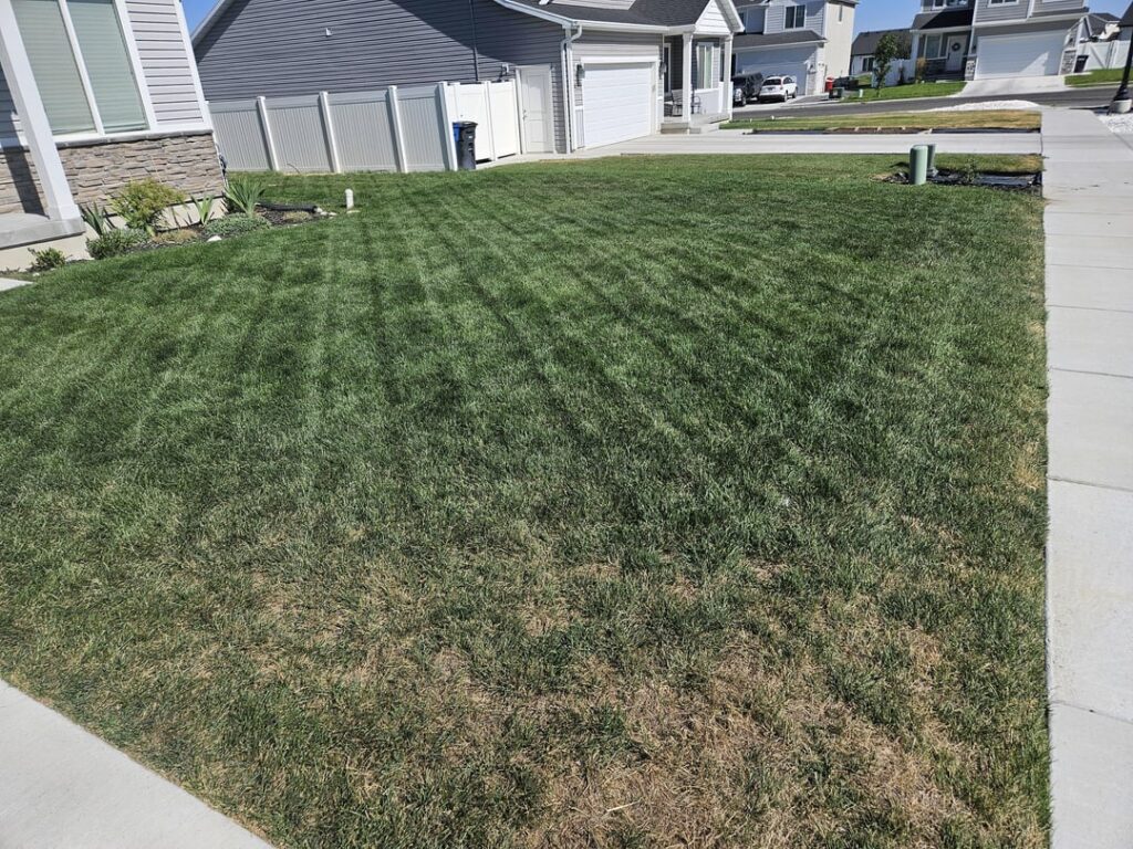 Front corner of my lawn dies halfway through each year