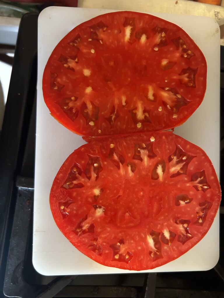 Cut into this beauty today