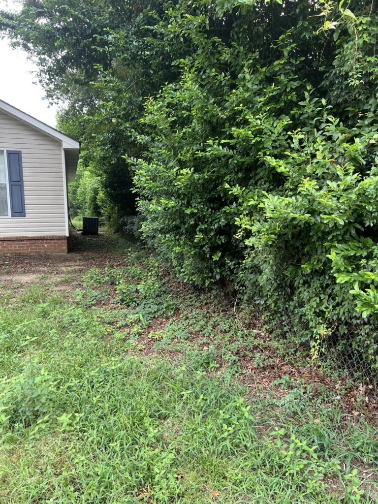 Is it possible to slow down the neighbor’s growth from her trees and shrubs into my yard? Is it possible to slow down the neighbor's growth from her trees and shrubs into my yard?