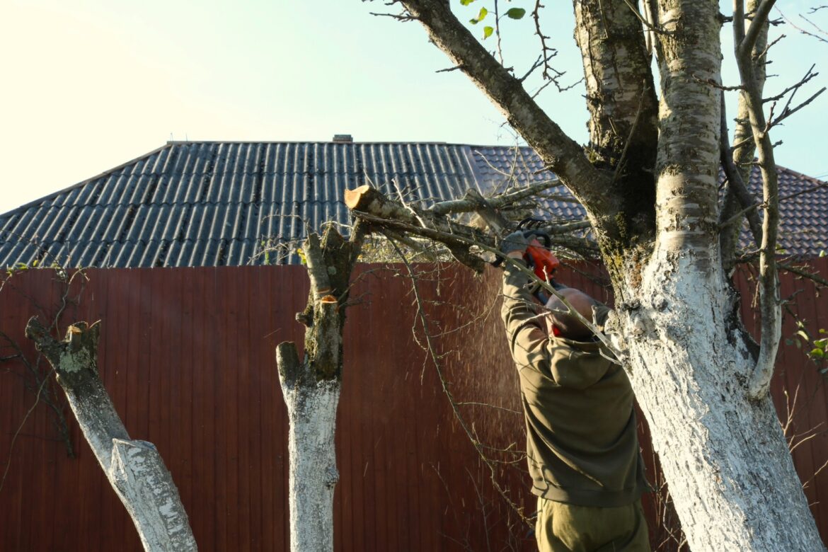 ‘I repeatedly told them to get off of my property’ "This is definitely civil suit worthy."