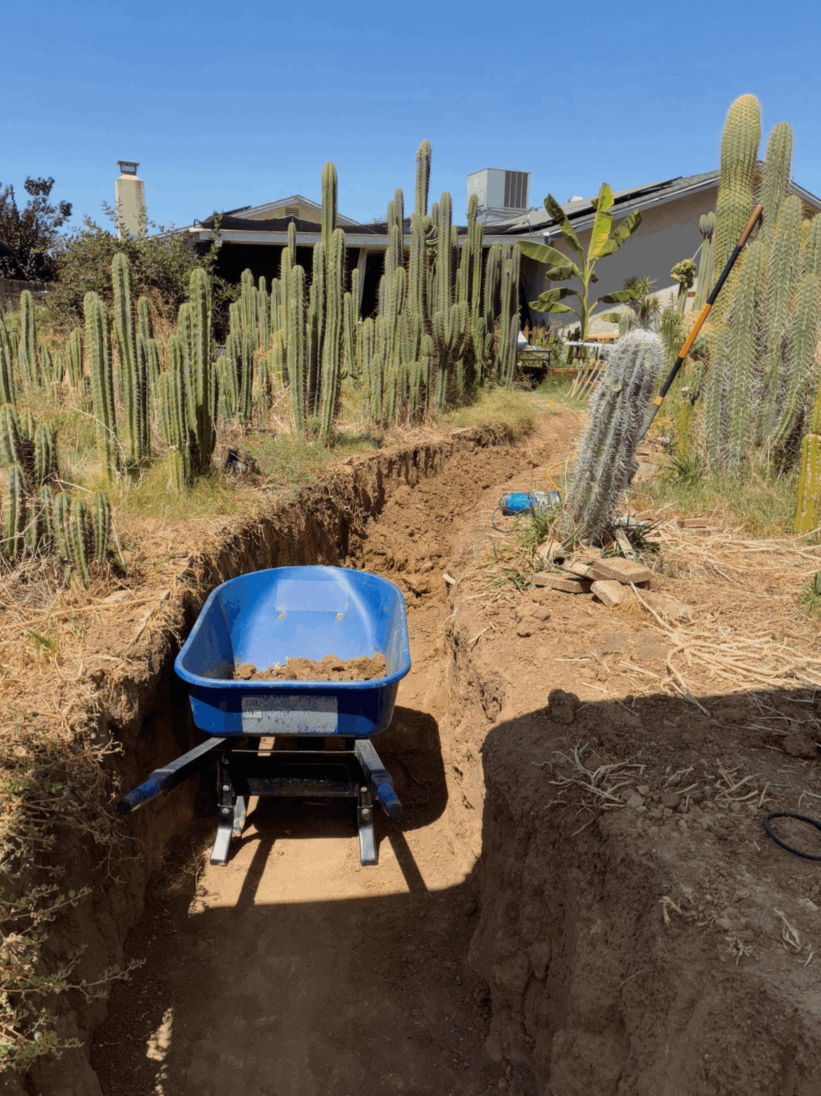 Hard work making big changes to the garden