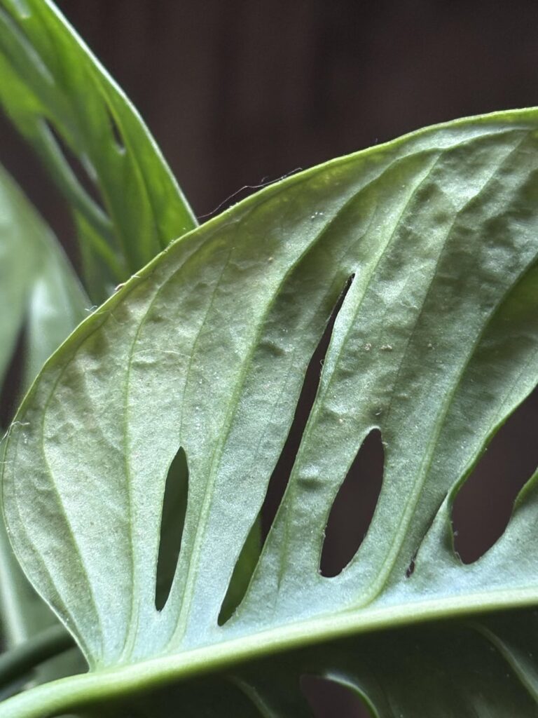 someone calm me down before i start breaking stuff