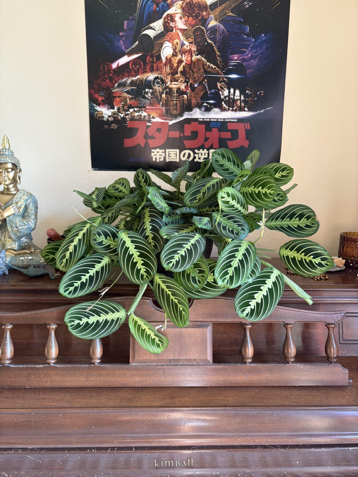 showing off this beauty queen