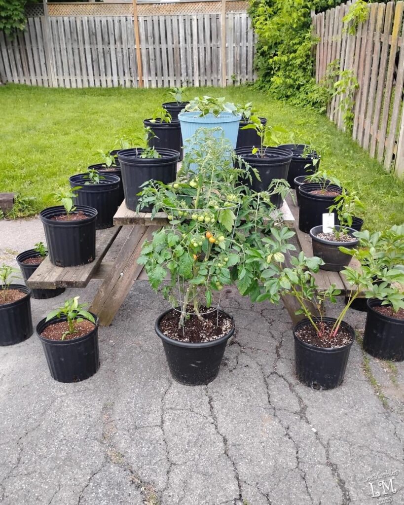 Where I began and where I’m at!.