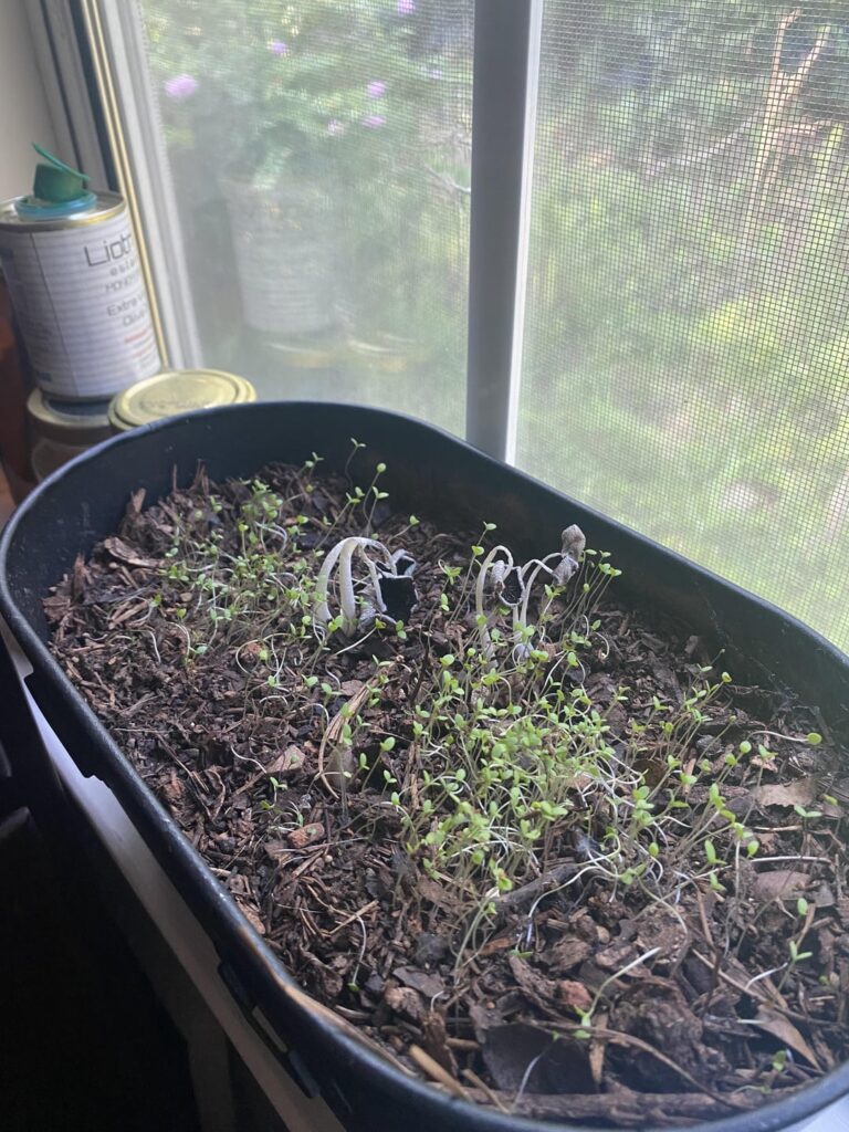 What is this and should I be worried? What is this and should I be worried?