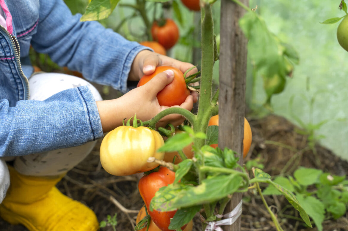 ‘Cheap way to get more plants’ "Thank you, I'm trying this."