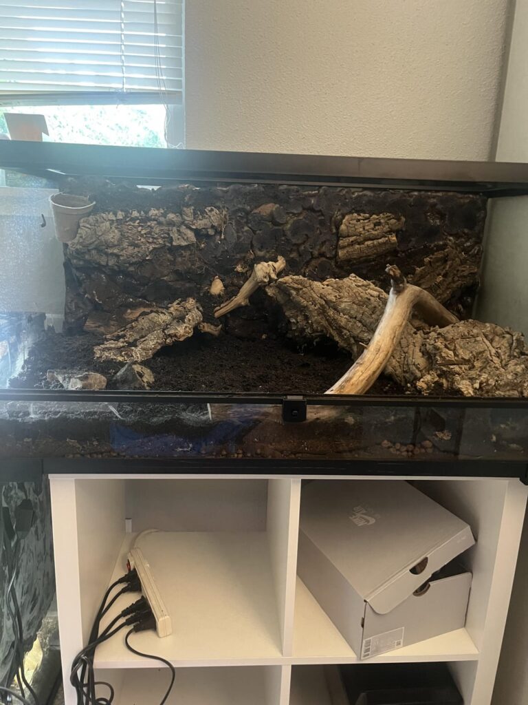 Hardscape vs planted