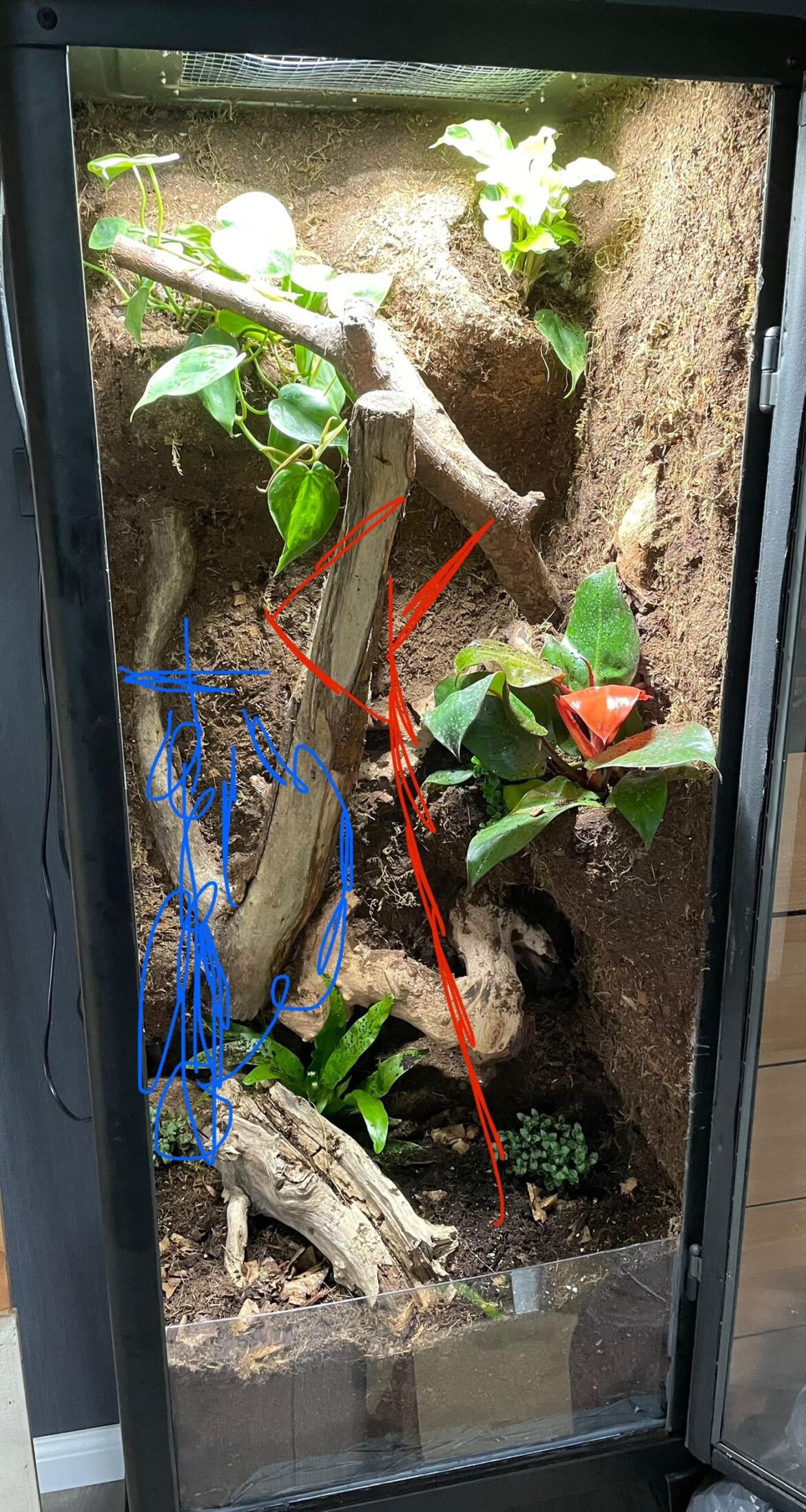 Need help with plant and branch. Need help with plant and branch.