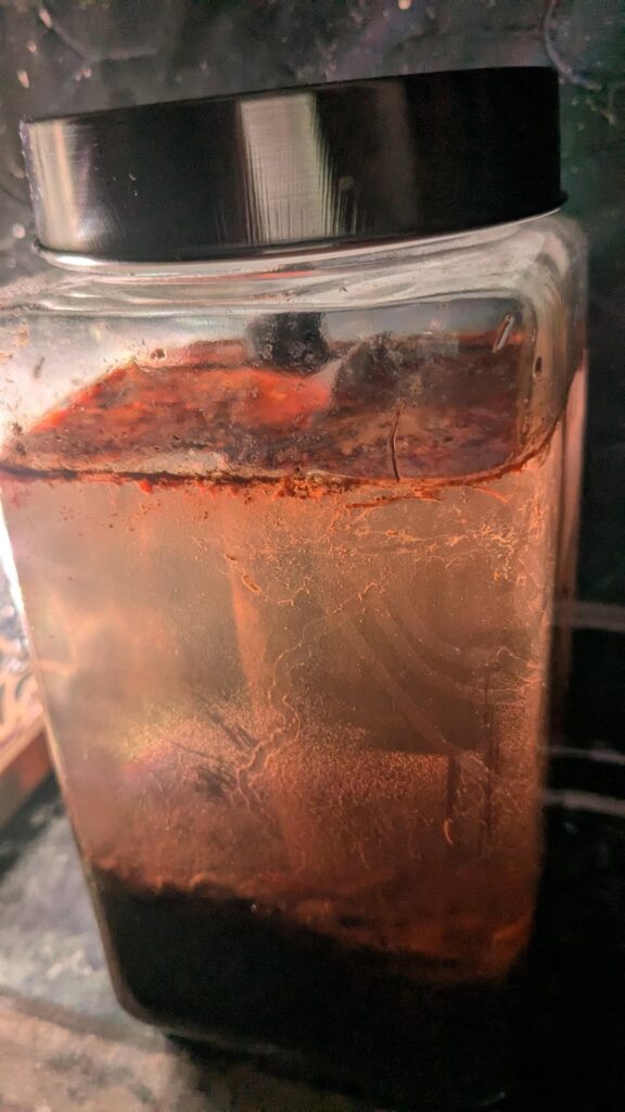 I think my ecosphere is dead I think my ecosphere is dead