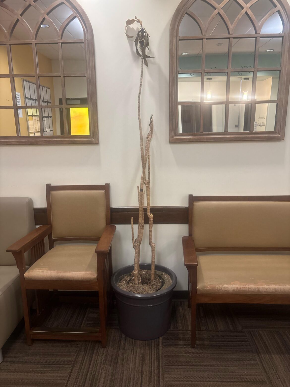 I started a new job and this is my coworker