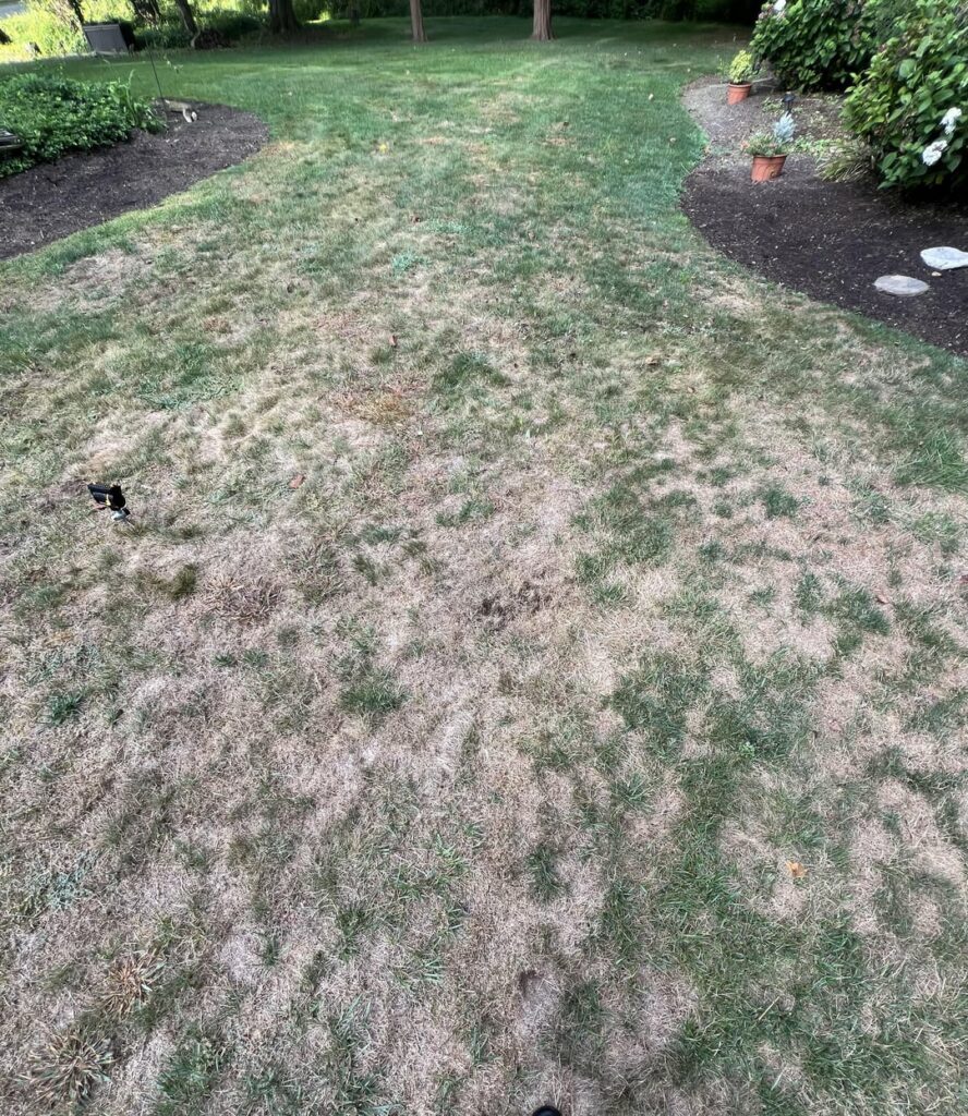 Grubs, right? Grubs, right?