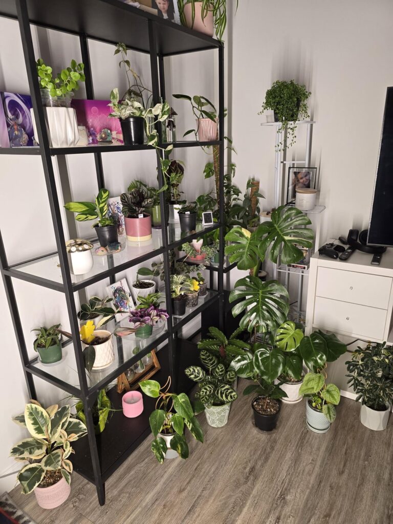 I have no one to show 😂