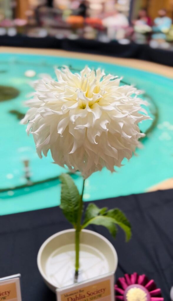 Home & Garden Digest – Santa Cruz Sentinel Home & Garden Digest – Santa Cruz Sentinel