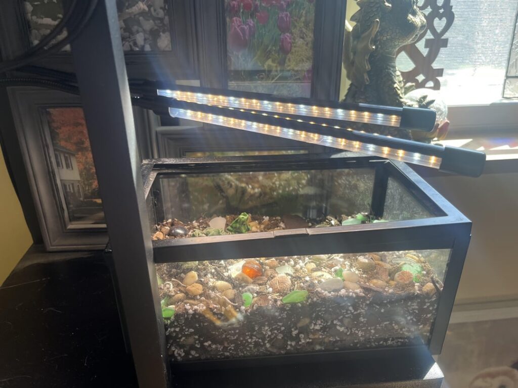 New additions