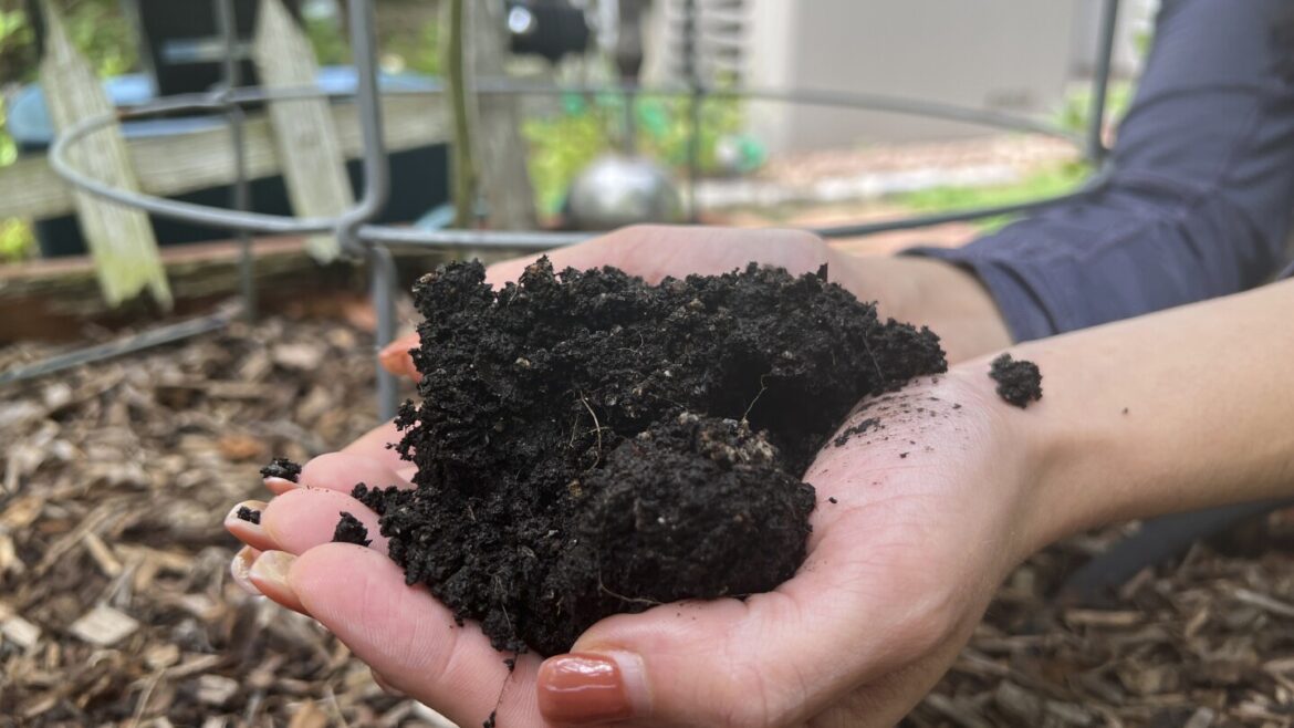 How gardening could contribute to improved mental health