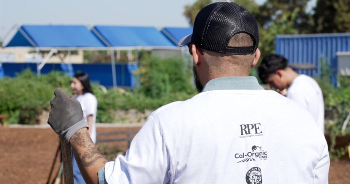 Grimmway interns volunteer at CSUB’s Edible Garden to give back Grimmway interns volunteer at CSUB's Edible Garden to give back