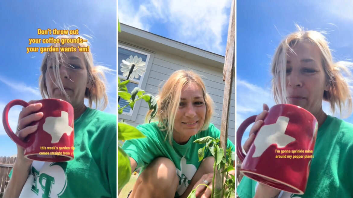 Gardener reveals why you shouldn’t be throwing away old coffee grounds: ‘I love this’ "This was such good advice."