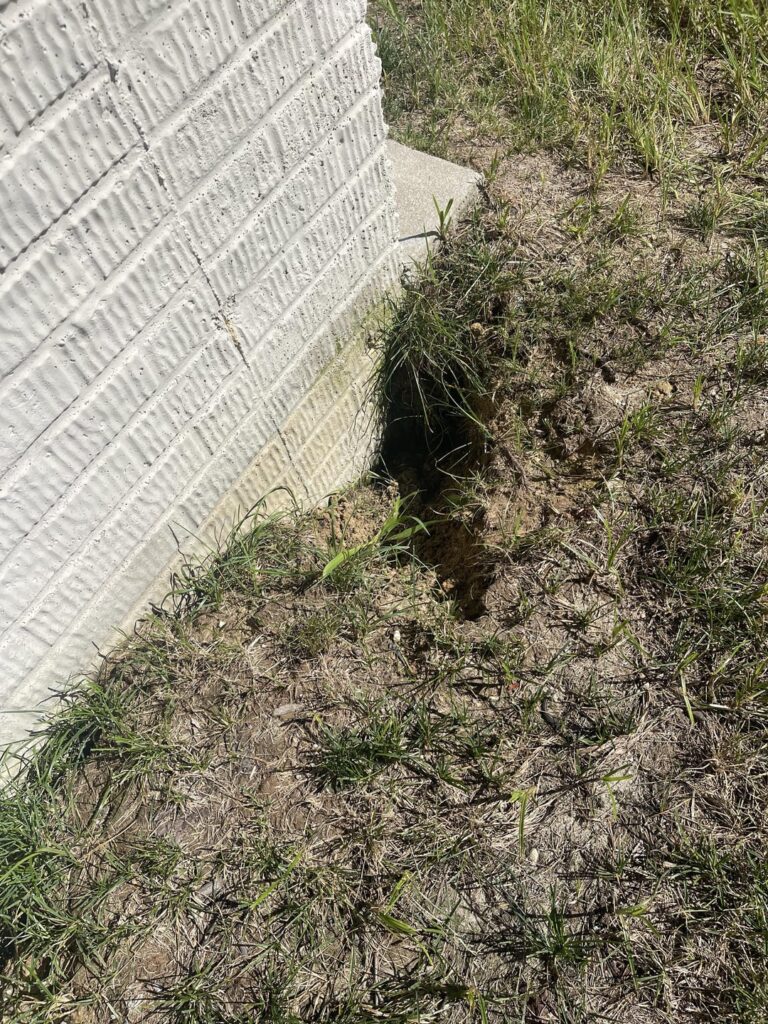 How do I take care of this