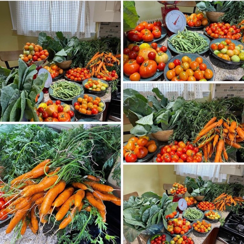 Montclair Harvest Day