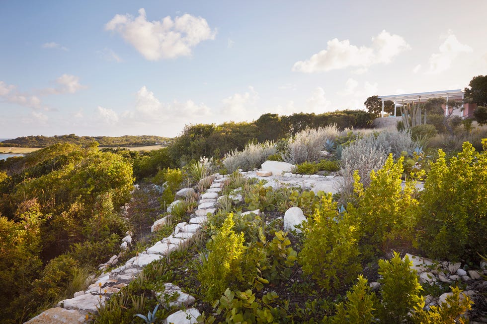 worlds most beautiful gardens antigua
