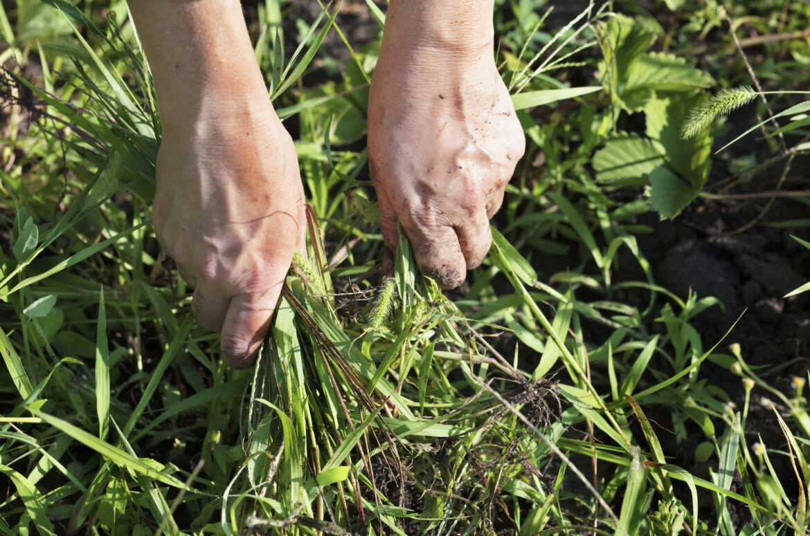 "I know how much work that is!"