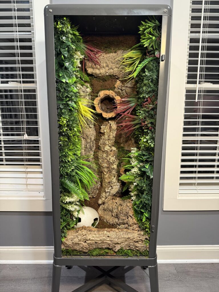 🌿✨ IKEA REPTILE ENCLOSURE CONVERSION = COMPLETE! ✨🌿 🌿✨ IKEA REPTILE ENCLOSURE CONVERSION = COMPLETE! ✨🌿